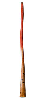 Tristan O'Meara Didgeridoo (TM438)